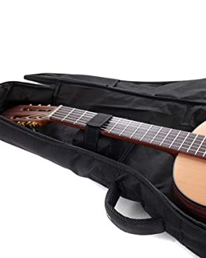 Interior de la funda de guitarra