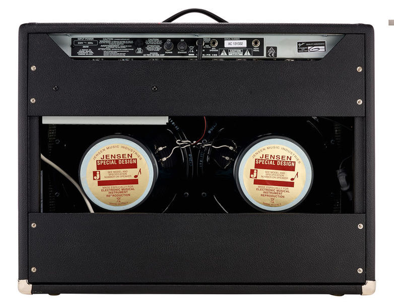 Amplificador de guitarra Fender Twin reverb 65 atras